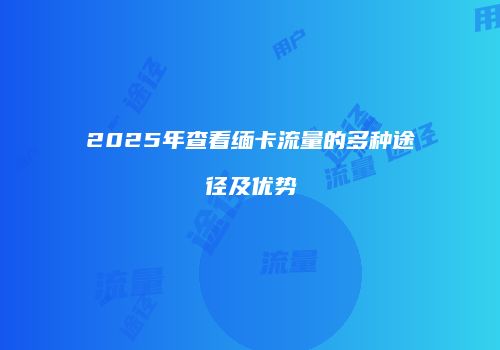 2025年查看缅卡流量的多种途径及优势
