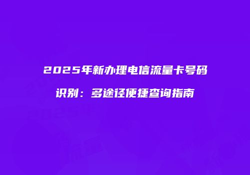 2025年新办理电信流量卡号码识别：多途径便捷查询指南