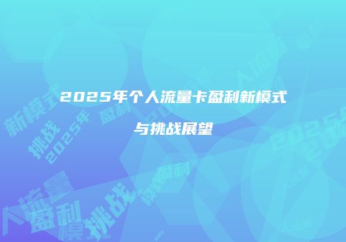 2025年个人流量卡盈利新模式与挑战展望